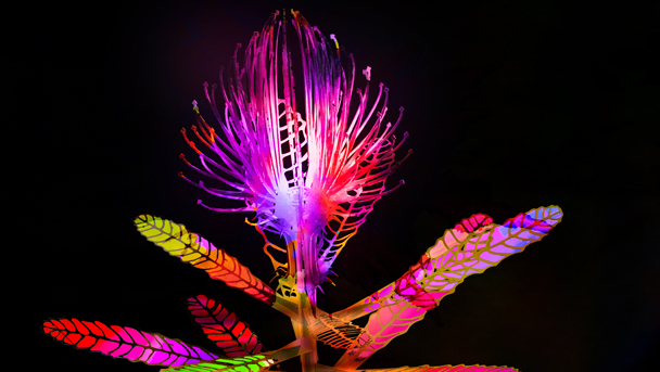 Floating Nature light display