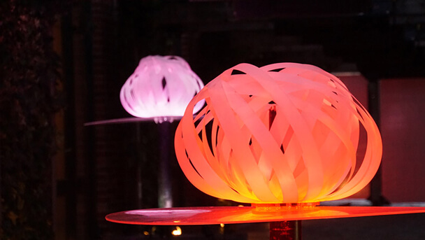 Florescentia Light display