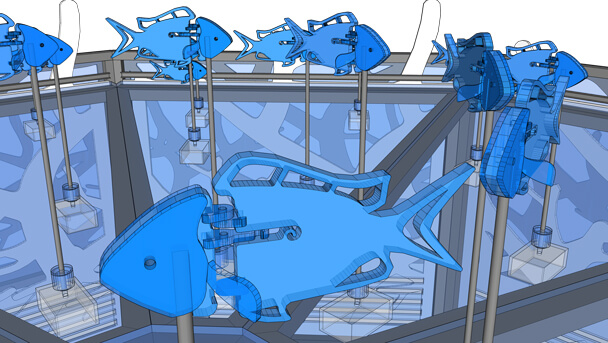 curiocity shoal